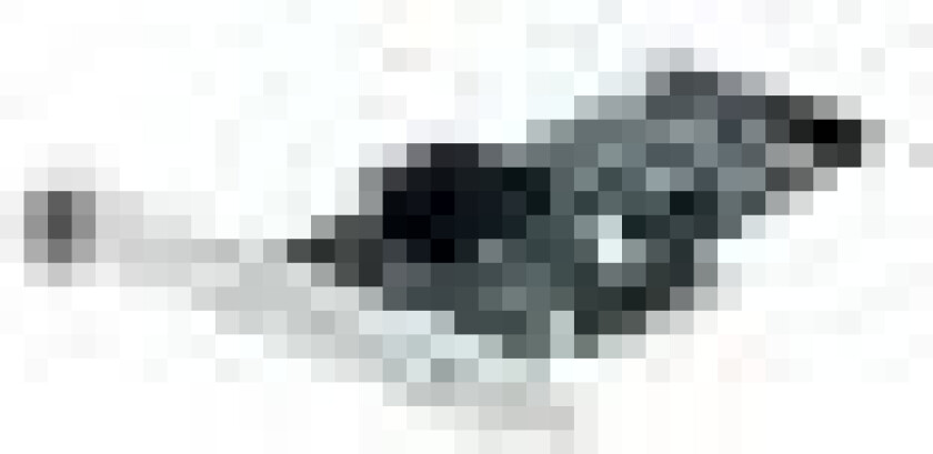 High IOPS MLC Duo Adapter - SSD - 640 GB - for System x3950 X5