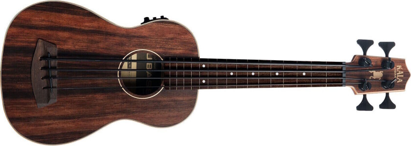 U-Bass Ebony Fretless
