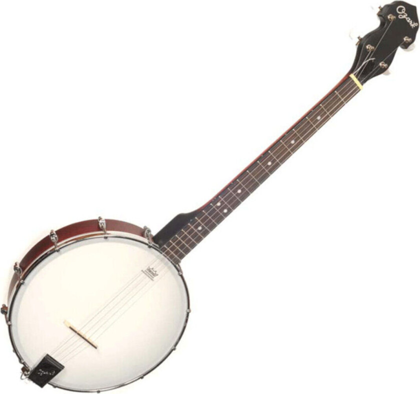 2102T Tenor Banjo with Gig Bag