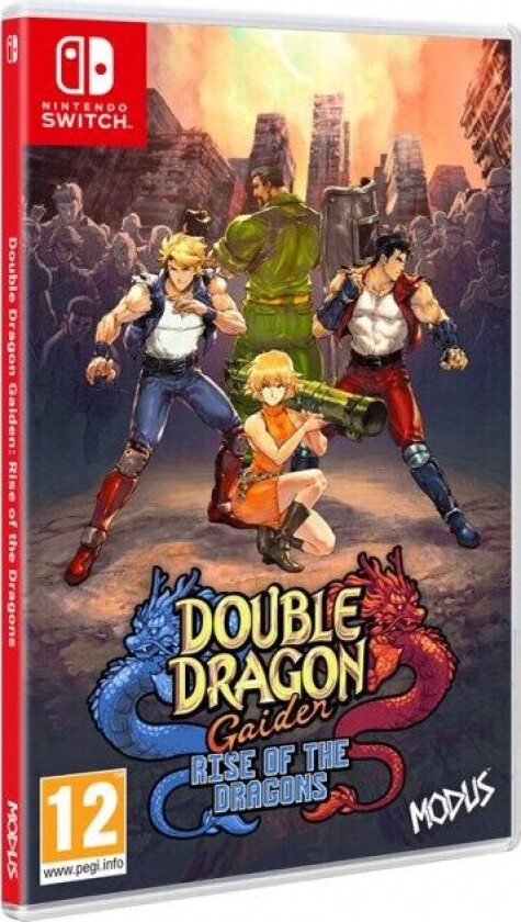 Double Dragon Gaiden: Rise of the Dragons
