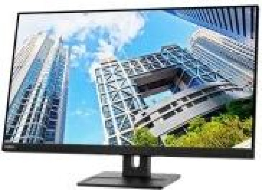 Thinkvision E28u-20 28" 3840 X 2160 16:9 Ips 60hz