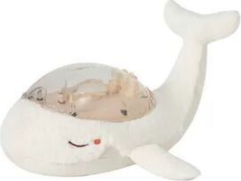 - Tranquil Whale, White - (CB7900-WD)