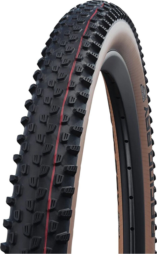 Racing Ray 29 x 2,35 (60-622)