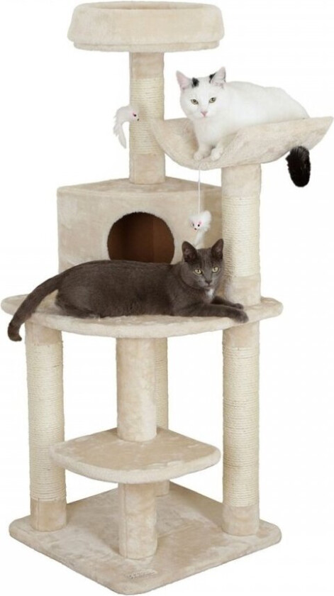 Zirkonia Klorestativ