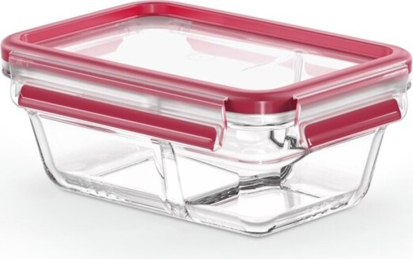 MasterSeal Glass Rectangular 800ml w/ divider