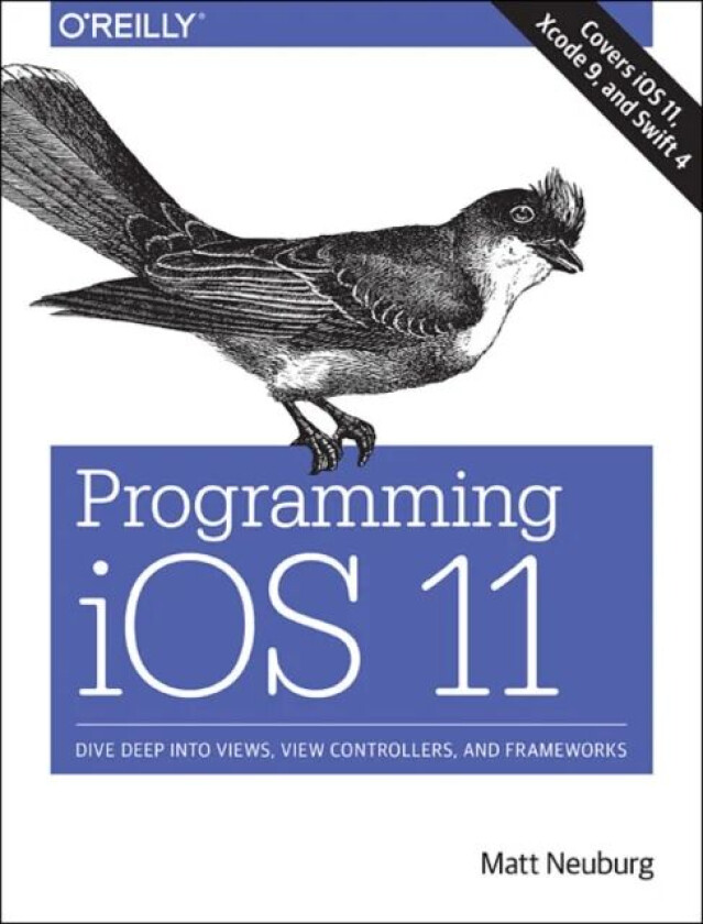 Programming iOS 11 av Matt Neuberg