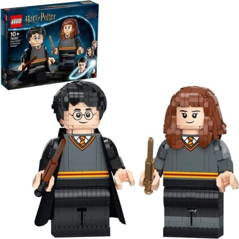 76393 Harry Potter & Hermione Granger