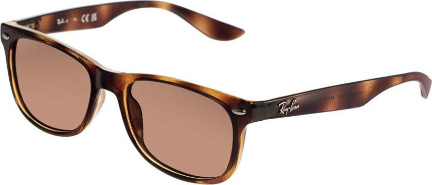 Ray-Ban Junior New Wayfarer 0RJ9052S Brun