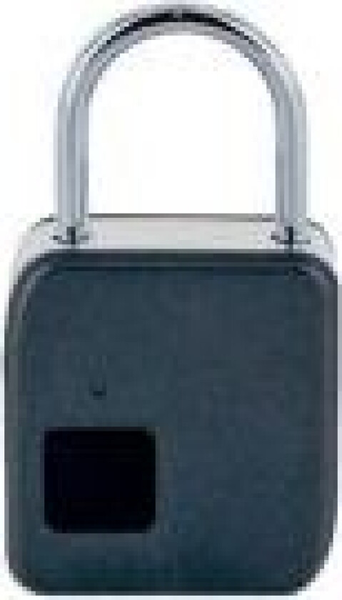 Schwaiger - Hengelås - biometrisk - mørk grå