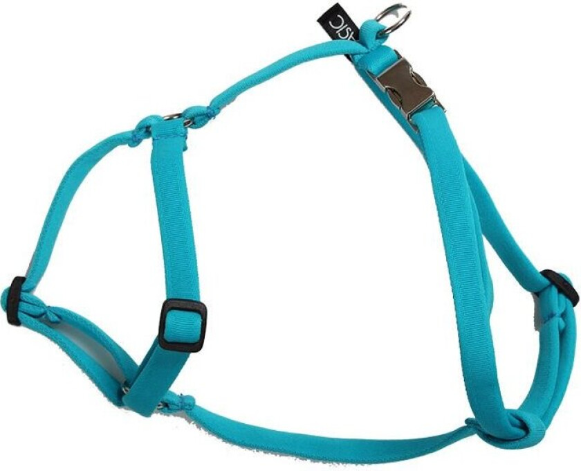 Basic Sweet Sele XS (Turkis)