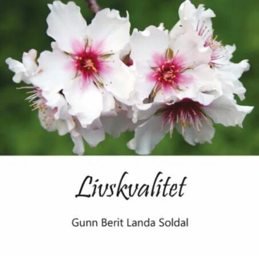 Livskvalitet av Gunn Berit Landa Soldal