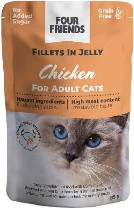 Four Friends Cat Adult Chicken in Jelly 85 g