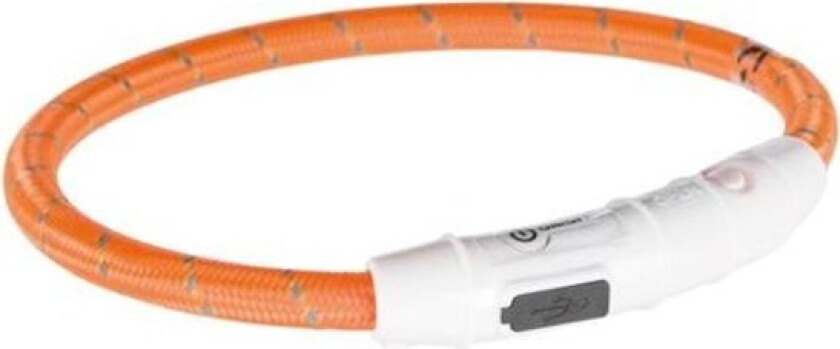 Flash Light LED-halsband Oransje (XS-S)