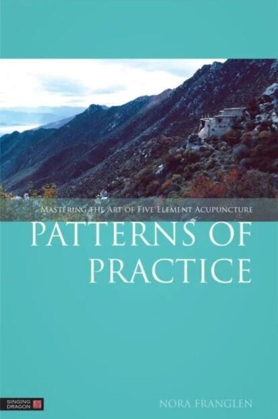 Patterns of Practice av Nora Franglen