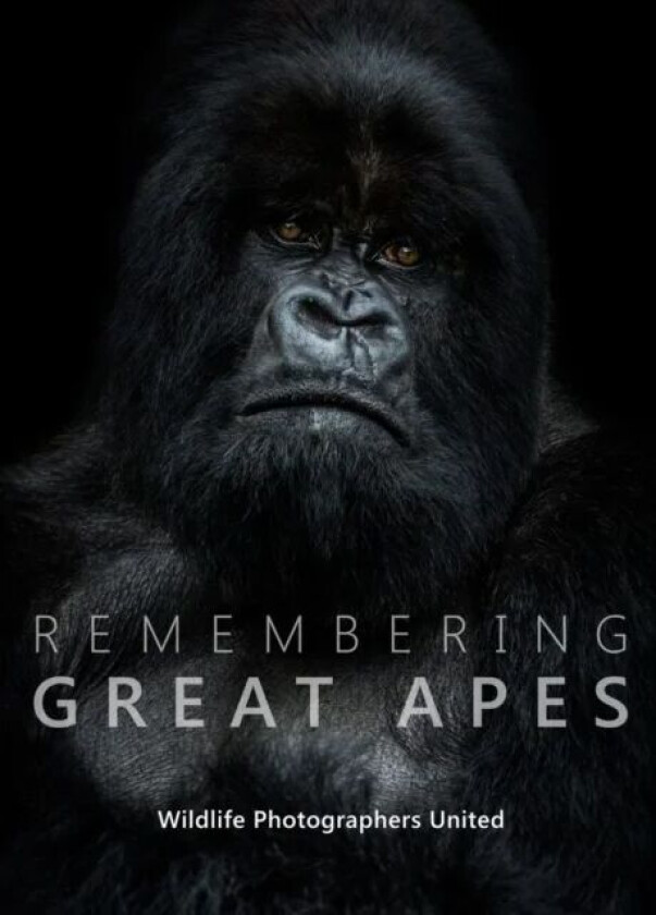 Remembering Great Apes
