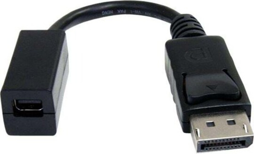 Bilde av Startech 6in Displayport To Mini Displayport Video Cable Adapter Displayport Hann Displayport Mini Hunn