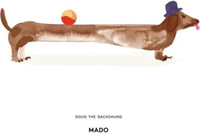 Doug the Dachshund poster 30x40 cm