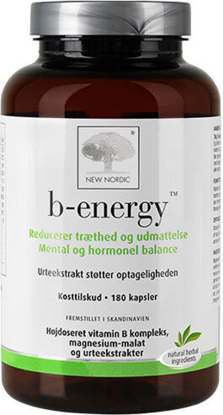 NEW NORDIC B-Energy