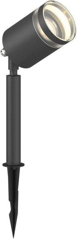 Margrit spot med jordspyd, mørkegrå