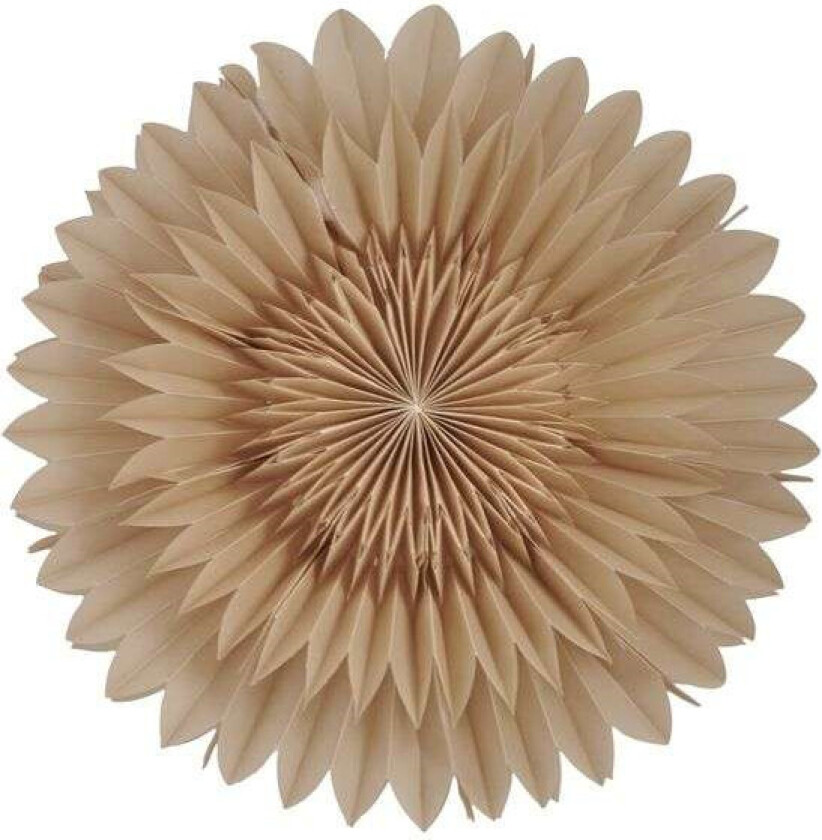 Lotus adventsstjerne Ø 44 cm Beige