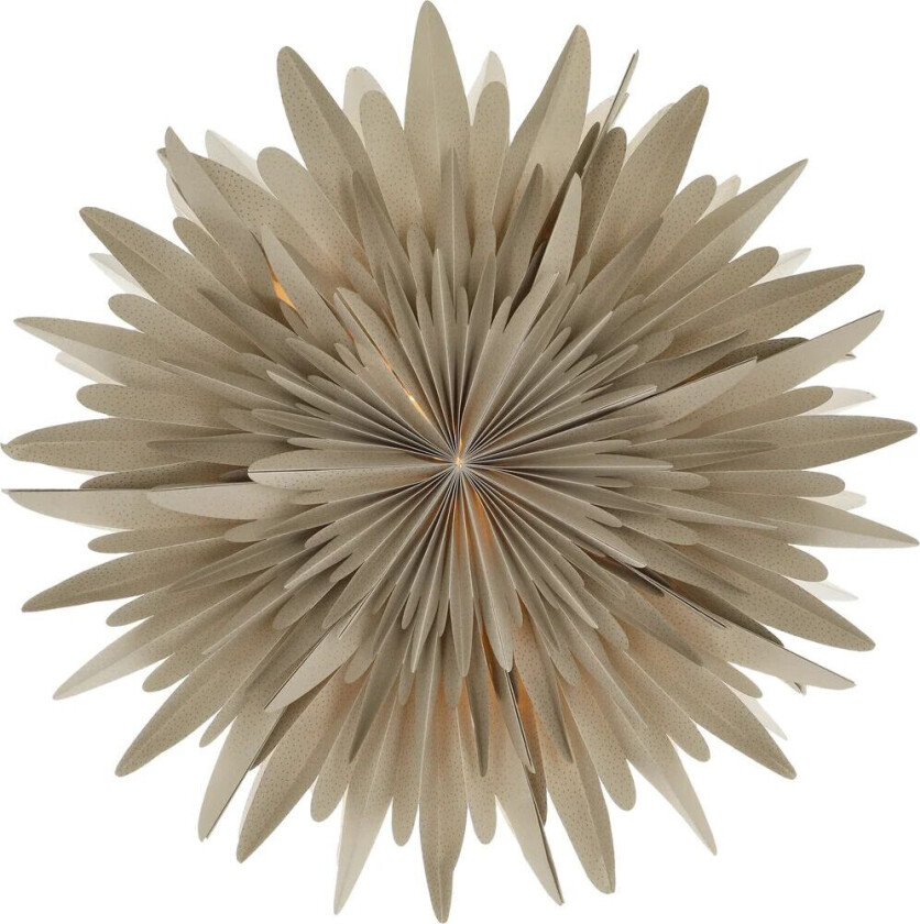 Luna adventsstjerne beige med prikker 60 cm