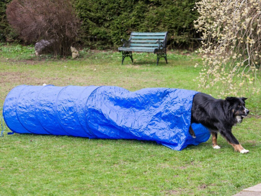 Bilde av Agility Sack Tunnel 3Mx60cm