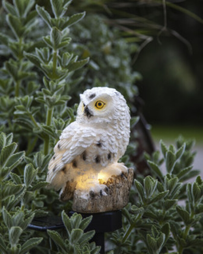 Solcelledekorasjon Ugle