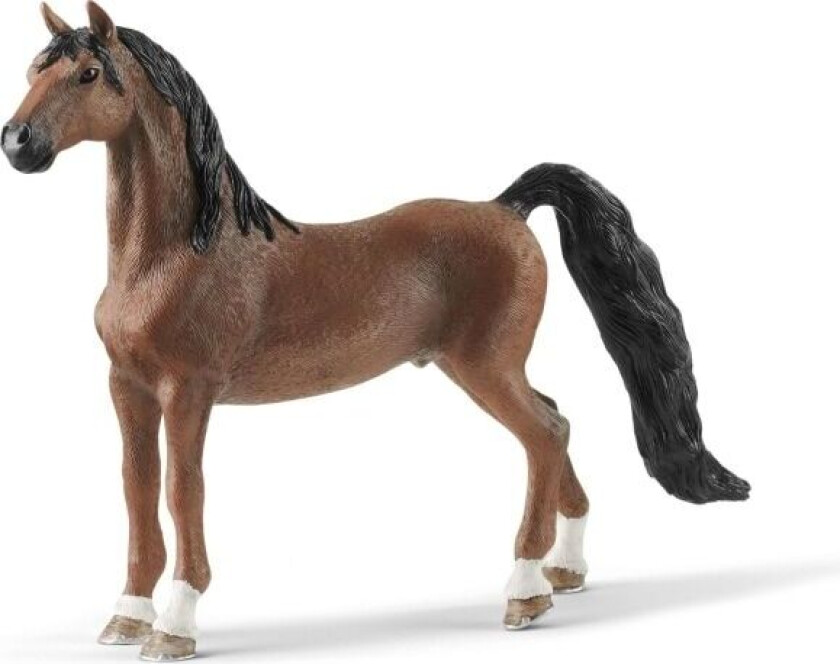 American Saddlebred gelding