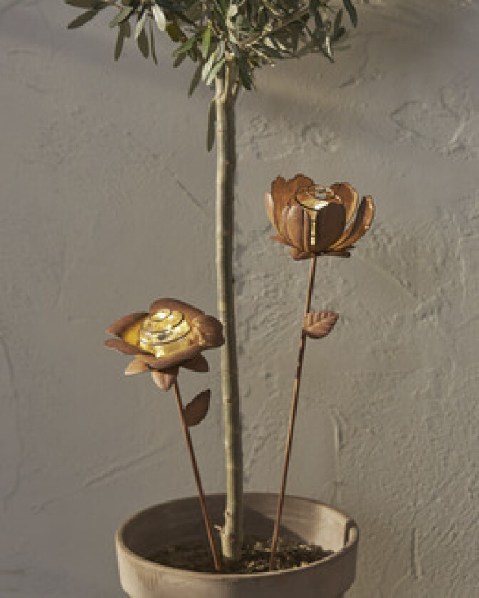 Solcelledekorasjon Oxida Blomst 2-p Brun