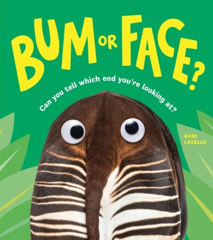 Bum or Face av Kari Lavelle