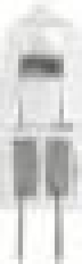 Osram 4008321106407, 200 W, 1500 t, 4700 lm, kan dimmes