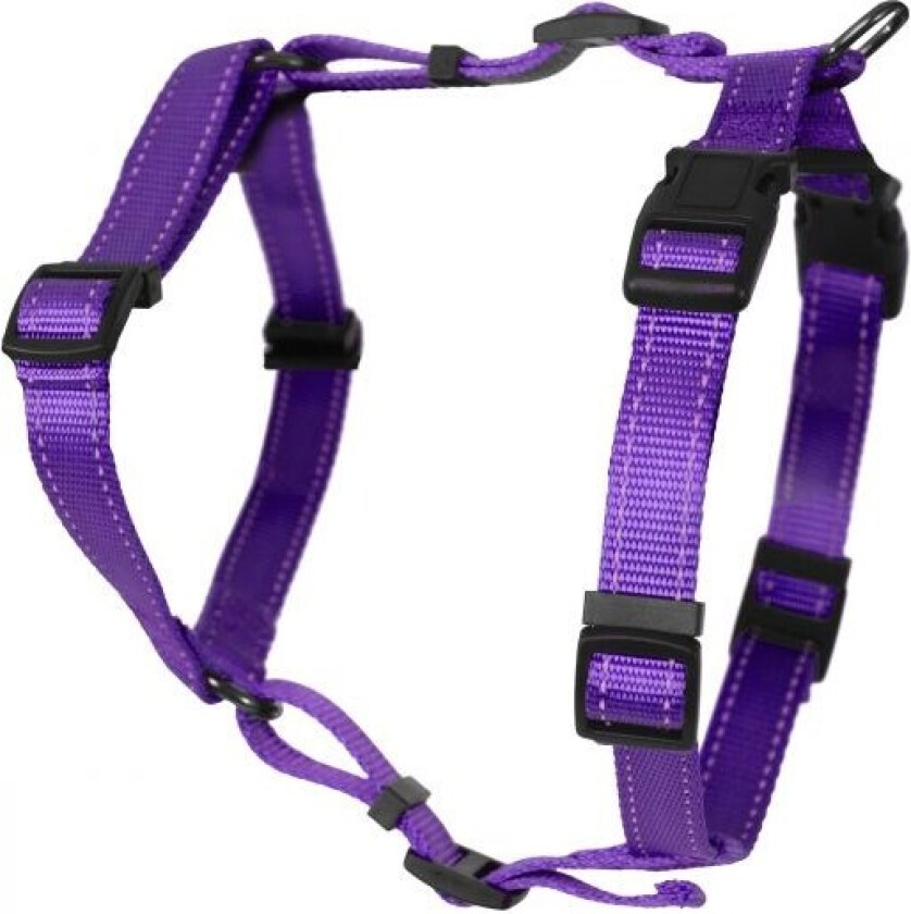 Dogman H-sele Iris Lila (L)