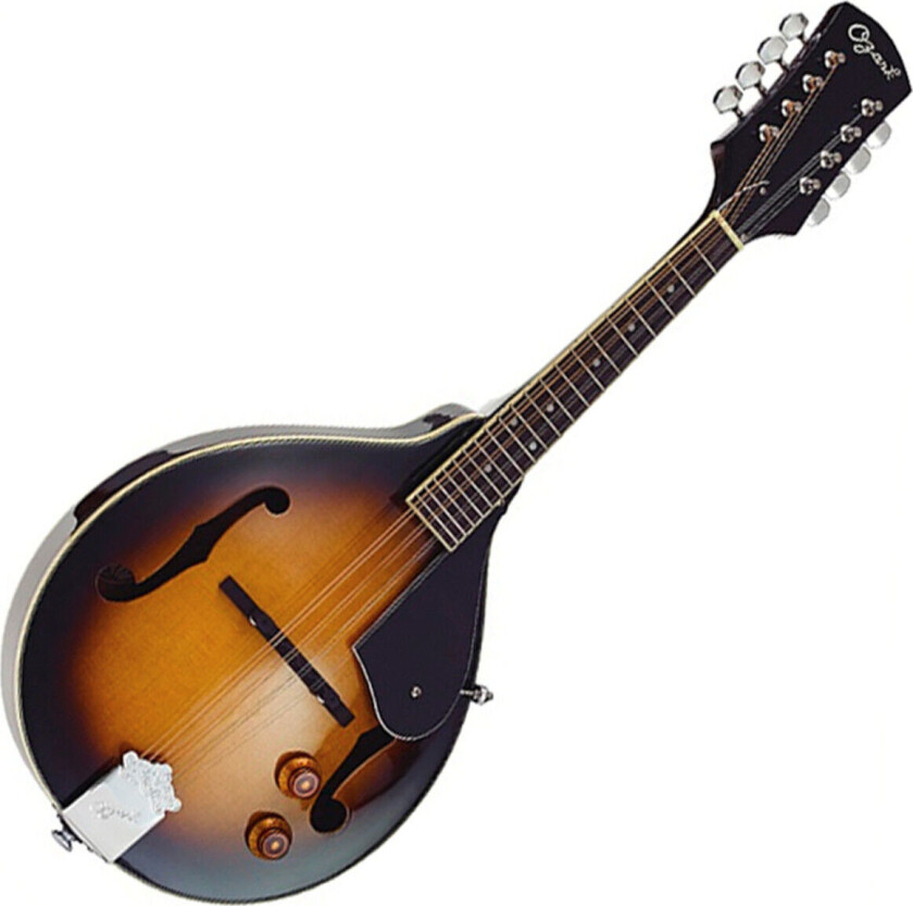 Electric Mandolin A Model