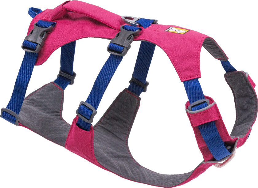 Flagline™ Harness M, Alpenglow Pink