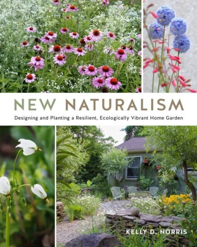 New Naturalism av Kelly D. Norris