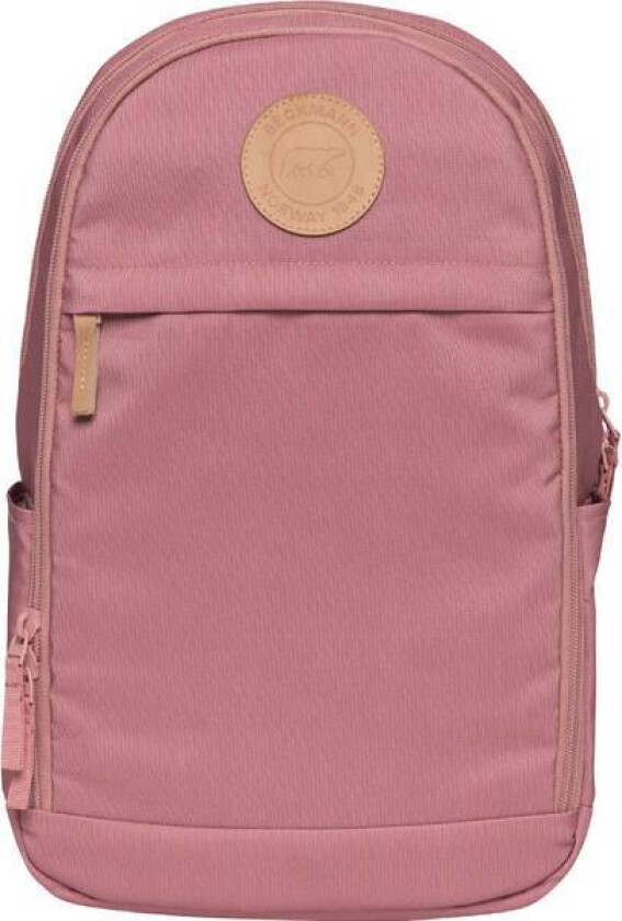 Skolesekk 2-7.kl Ash Rose Urban midi 26L