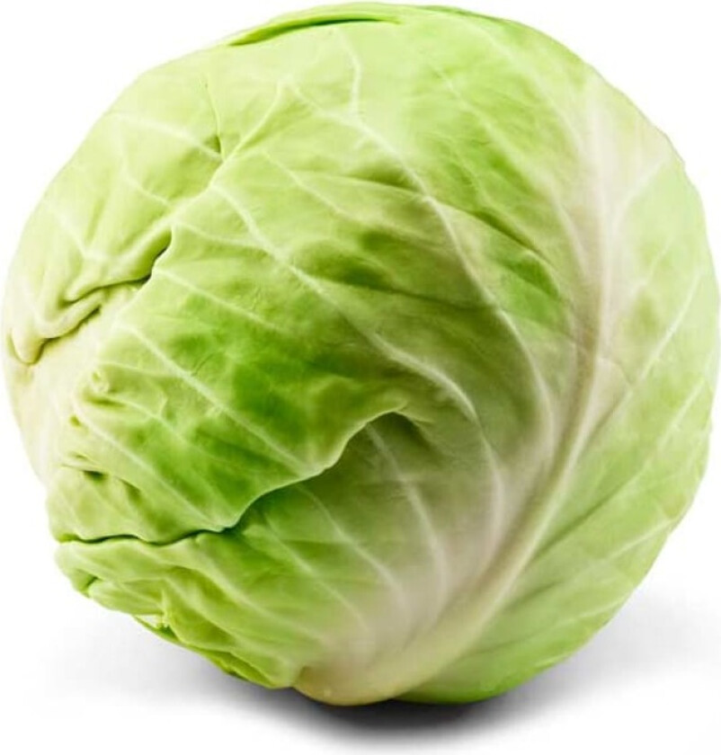 Hodekål ,