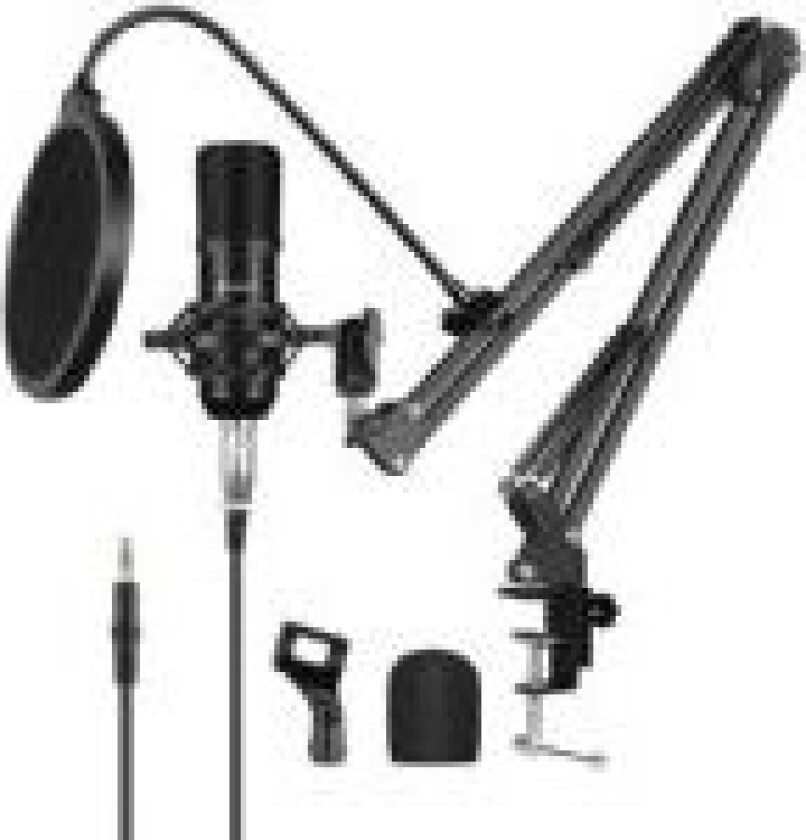 microphone PU612B Studio Broadcast condenser microphone