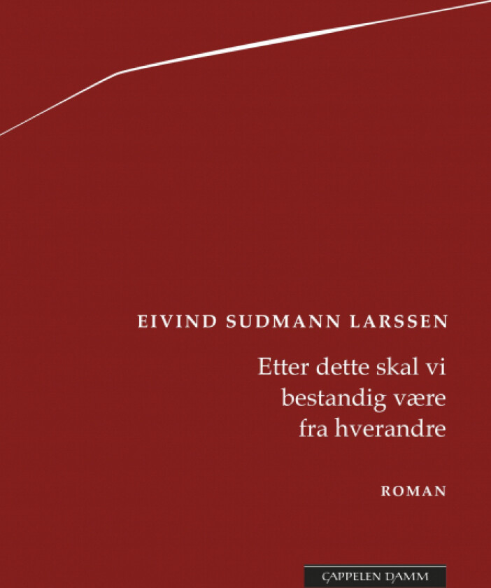 Etter dette skal vi bestandig være fra hverandre av Eivind Sudmann Larssen