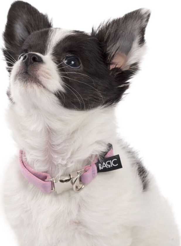 Basic Sweet halsbånd 20-30cm (Lilla)