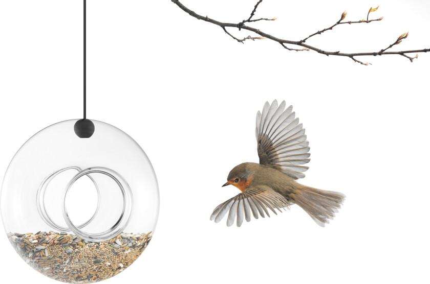 - Bird Feeder - Glass (571030)