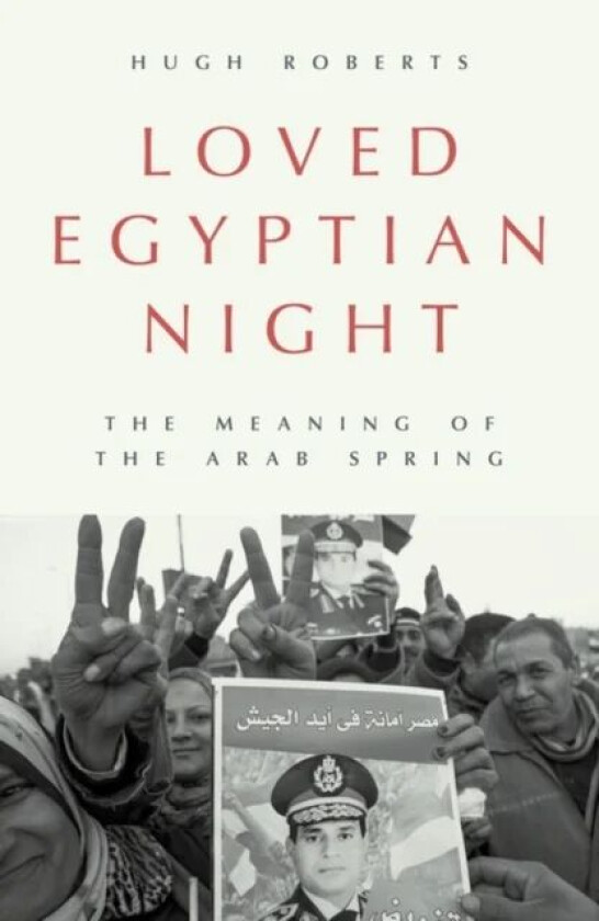 Loved Egyptian Night av Hugh Roberts