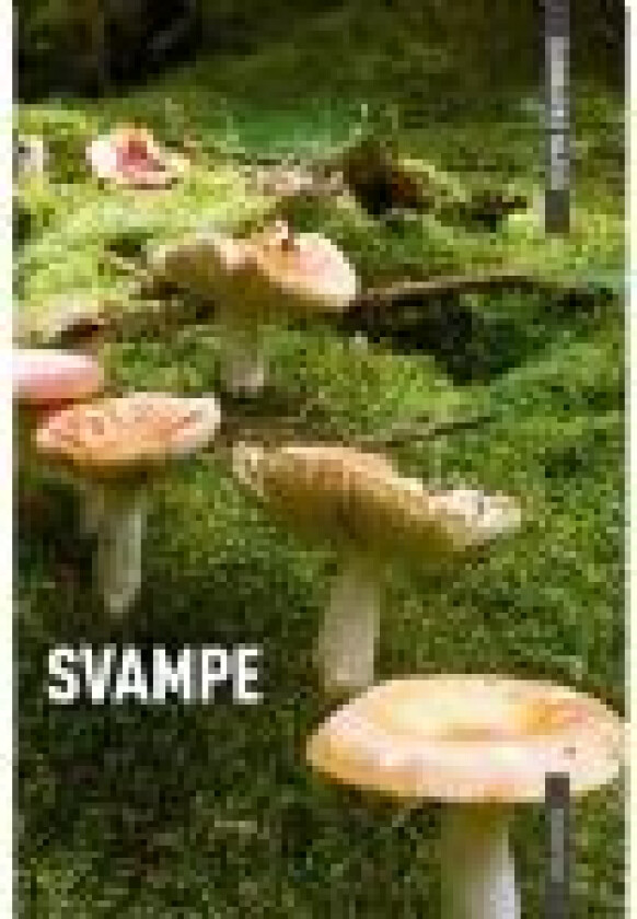 DANMARKS NATUR Svampe Torben Gang Rasmussen Språk: Dansk