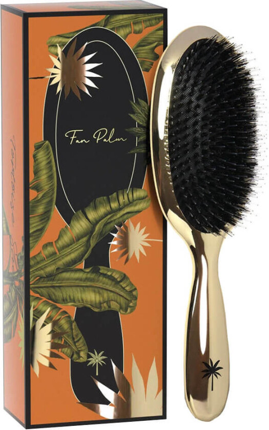Fan Brush Medium Hollywood