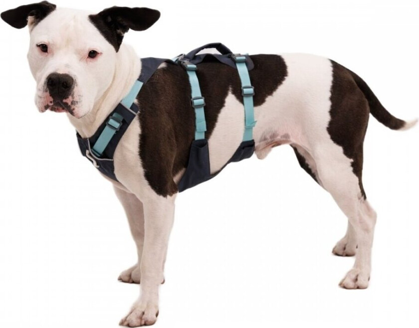 Flagline™ Harness M, Basalt Gray