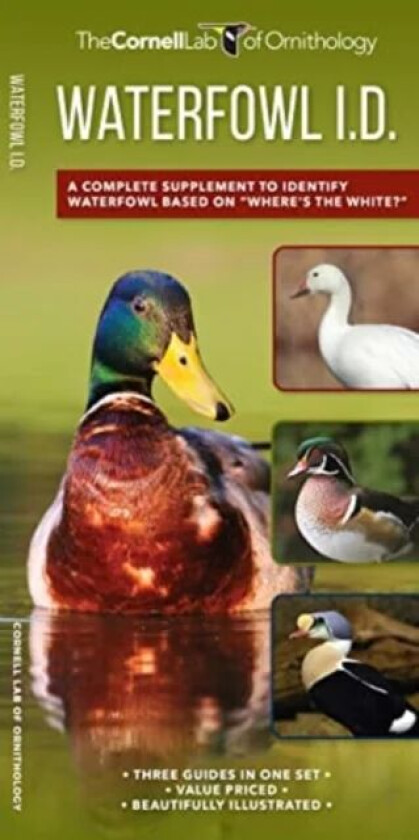 Waterfowl Id Set av Kevin J McGowan