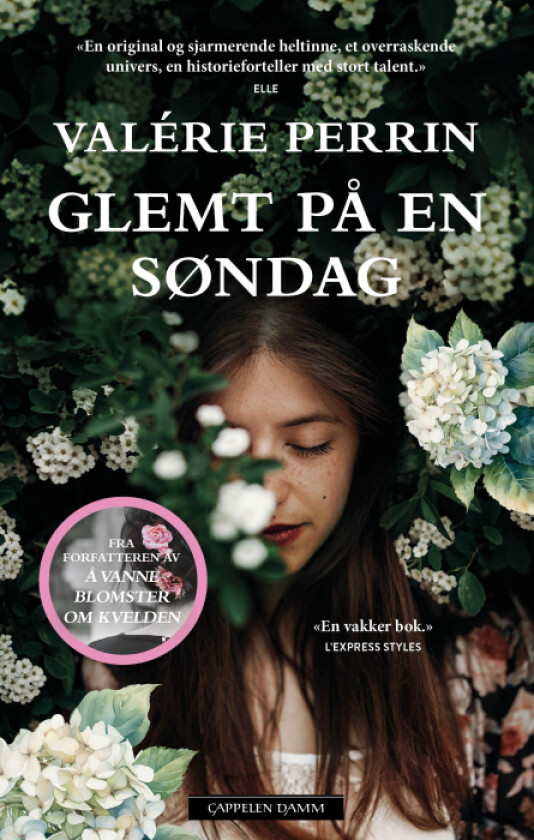 Glemt på en søndag av Valérie Perrin