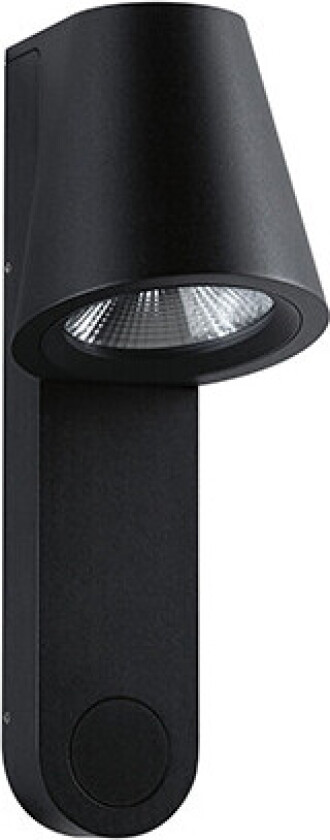 Caissa 94862 LED-udendørs vægbelysning LED (RGB) 9 W Antracit