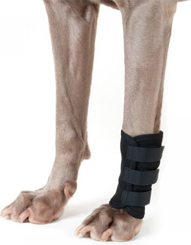 Back on Track Benbeskyttelse for Hund Svart 1-pakk (S)