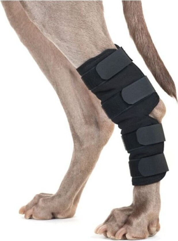 Back on Track Hasebeskytter til Hund Svart 2-pakk (M)